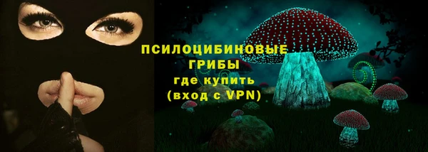 дурь Вяземский