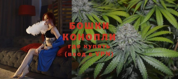 дурь Вяземский