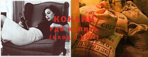 дурь Вяземский