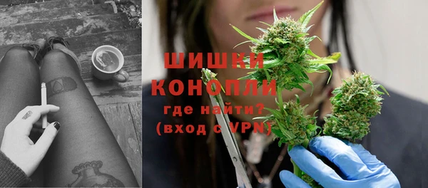 PSILOCYBIN Вязники