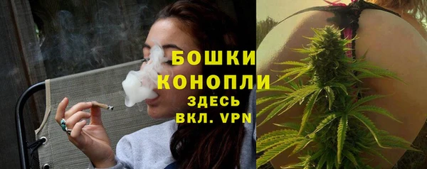 PSILOCYBIN Вязники