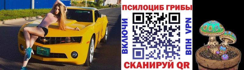 сайты даркнета как зайти  Зея  Псилоцибиновые грибы ЛСД 